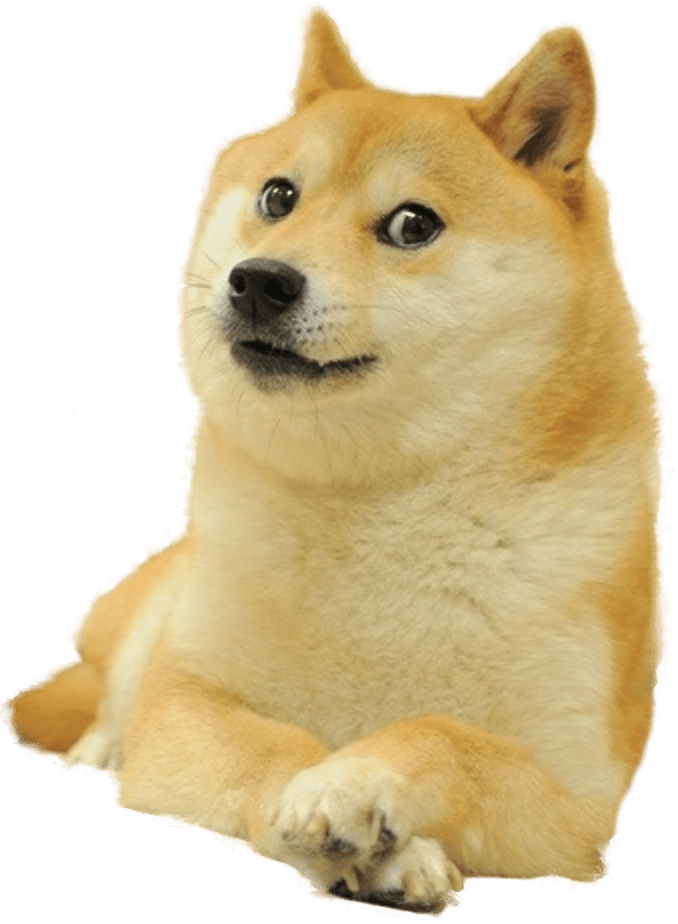 Background Doge