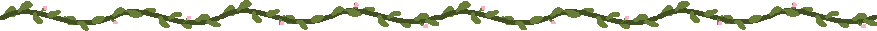 vine divider